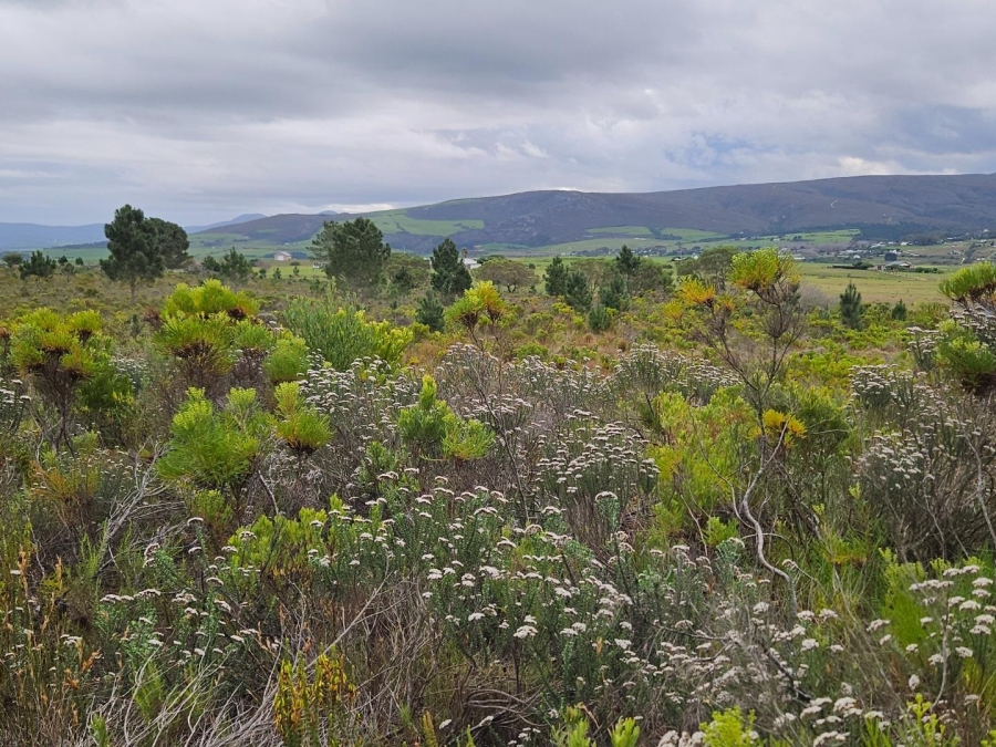 2 Bedroom Property for Sale in Baardskeerdersbos Western Cape